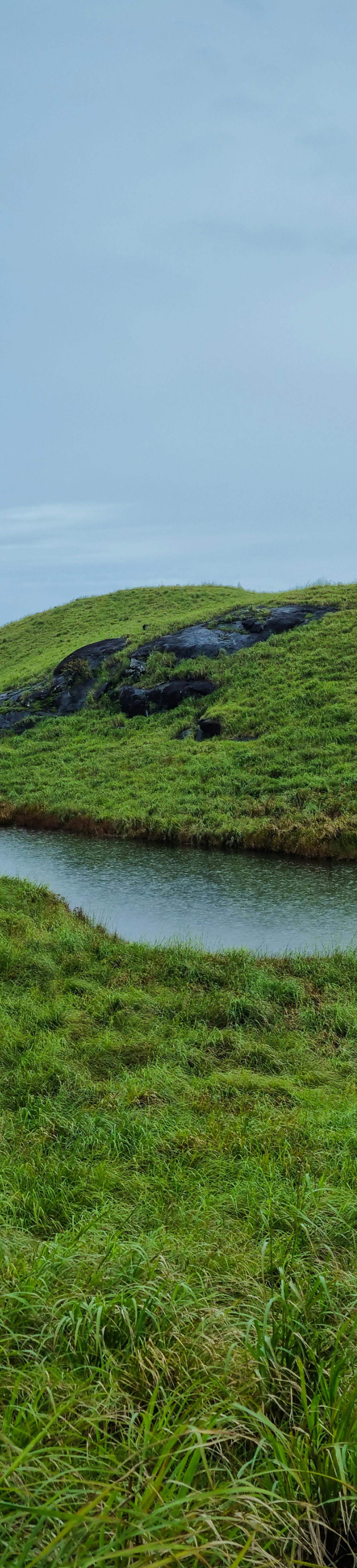 Misty Haven Resort landscape